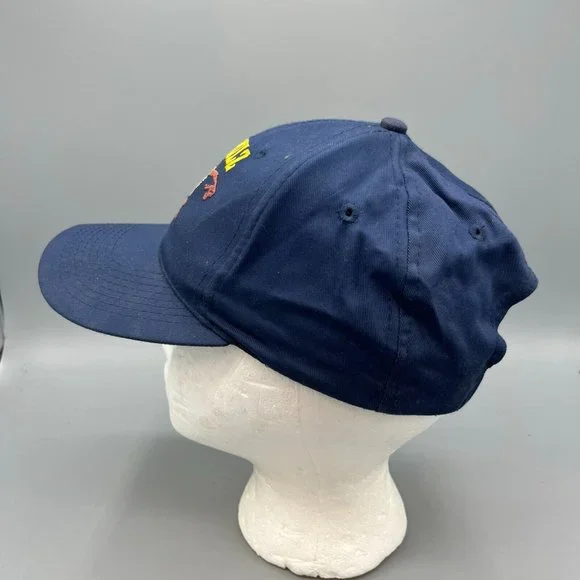 Vintage 1998 Taz Rulz Looney Tunes Snapback Adjustable Blue Hat Tasmanian Devil